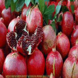 FRESH RED SWEET SEEDLESS POMEGRANATE